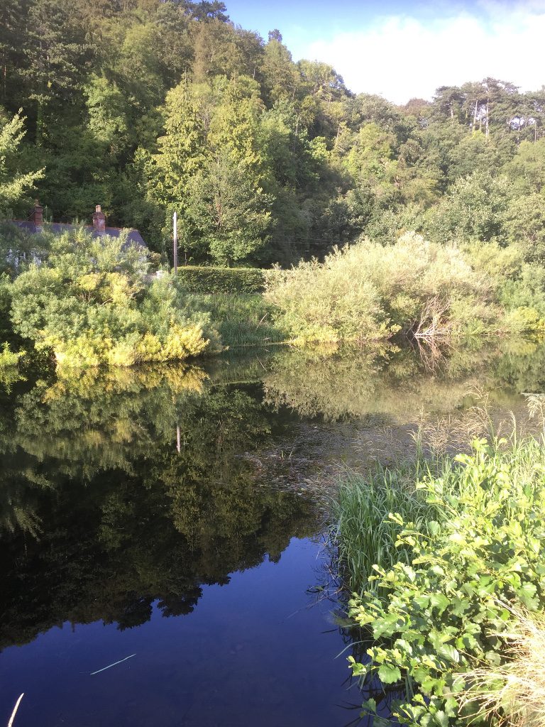 Photo of Phoenix Park from Palmerstown