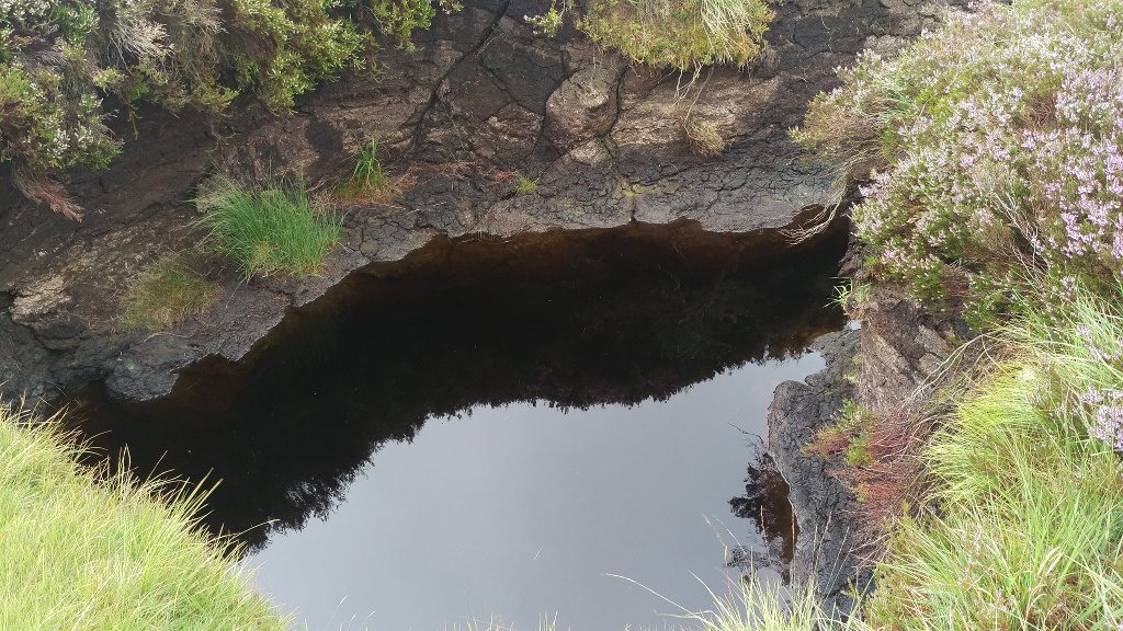 Photo of the pool at the source of the Liffey