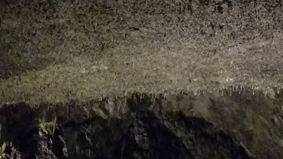 Photo of calcite formations